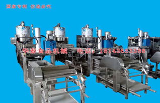 華泰食品機(jī)械 深耕豆制品加工機(jī)械研發(fā)，鑄就通化干豆腐機(jī)卓越品質(zhì)